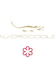 au_crocodile